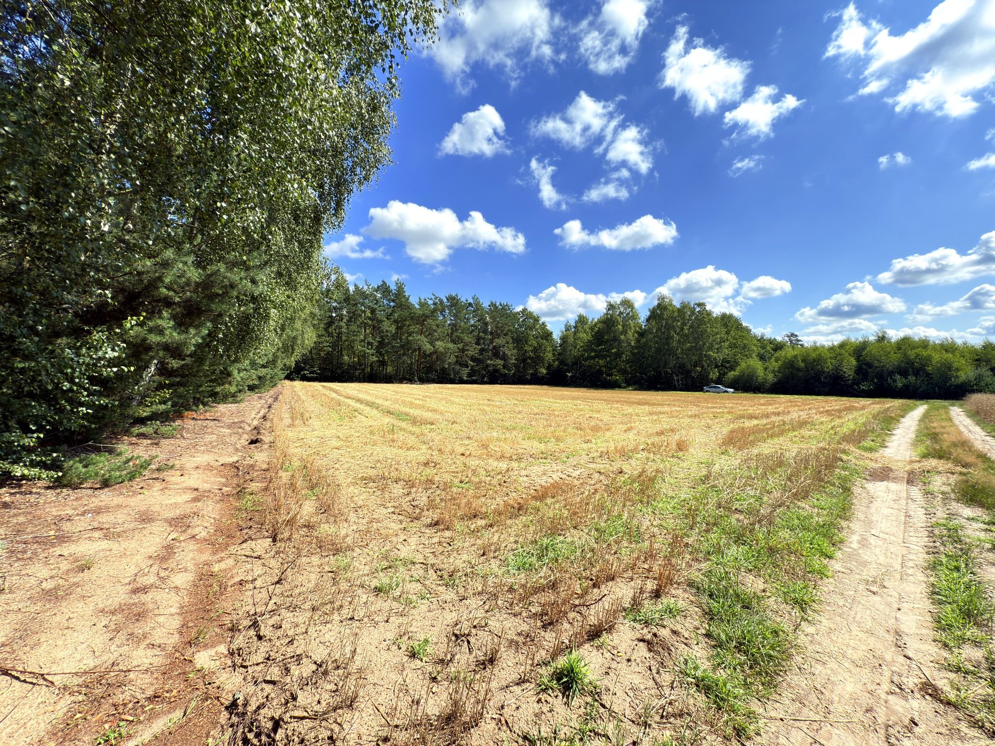 Działka budowlana Gołaszyny