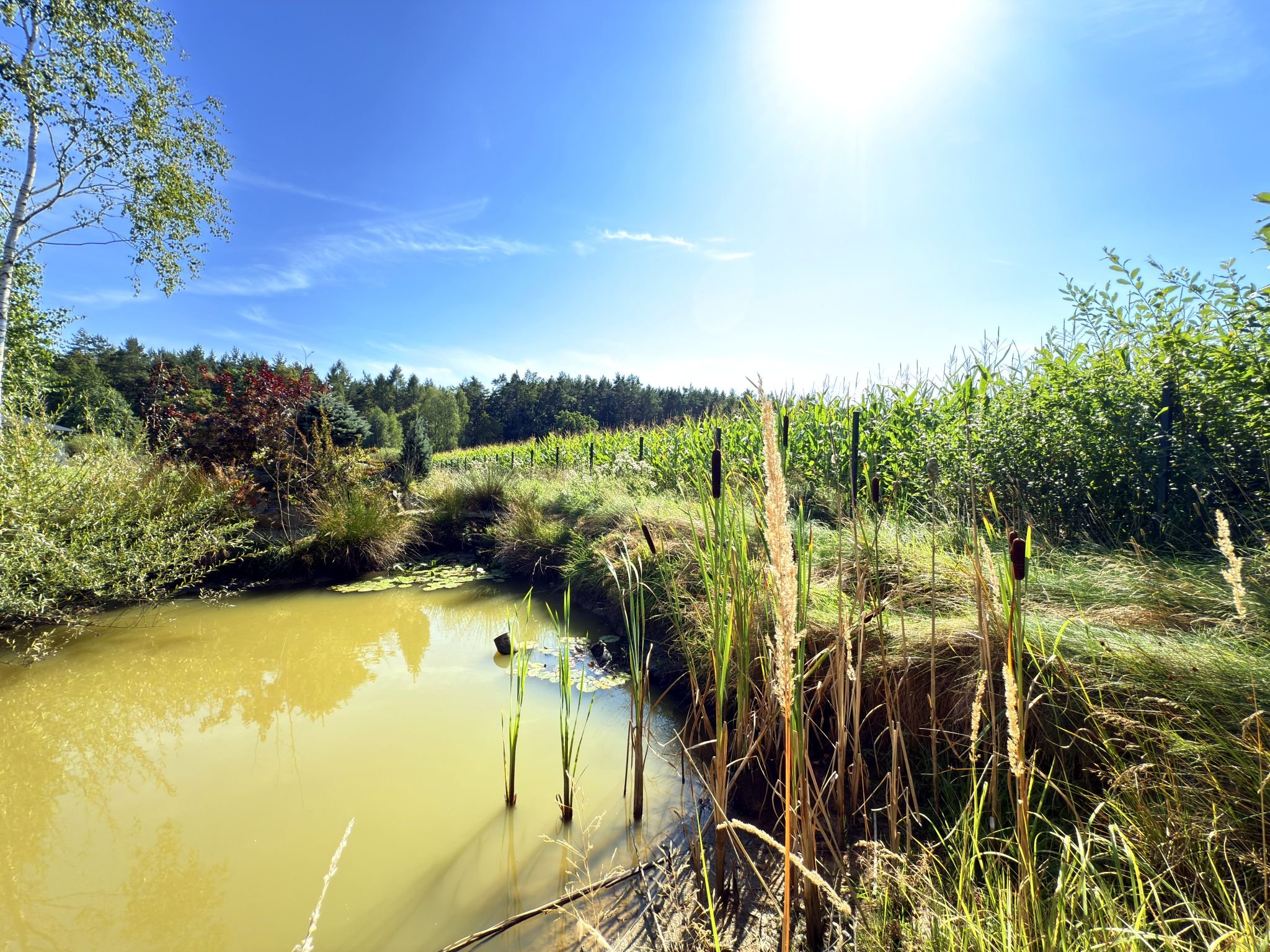 Działka budowlana Huta Dłutowska