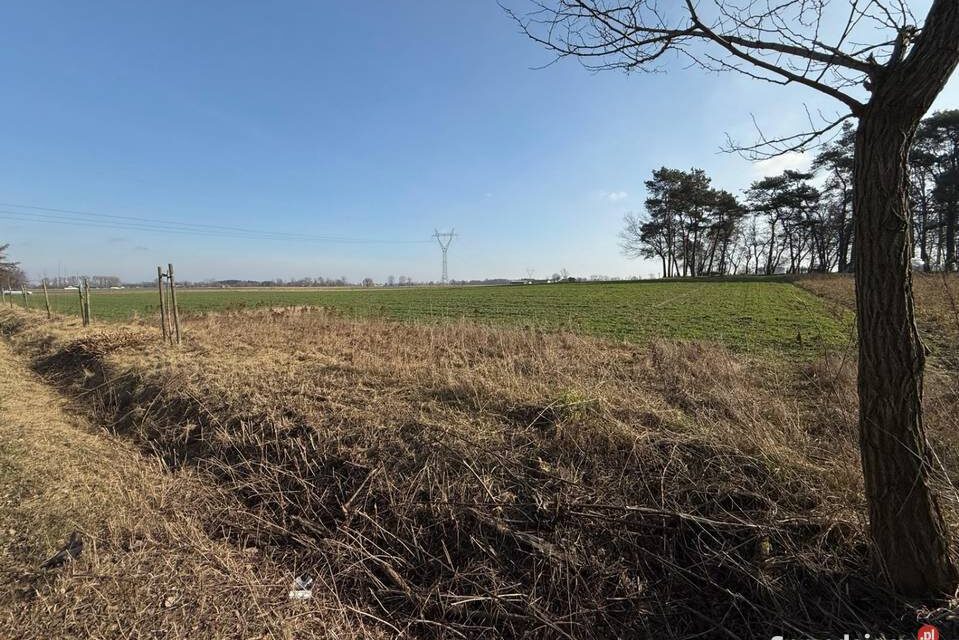 Działka budowlana w mega cenie! Domaniew