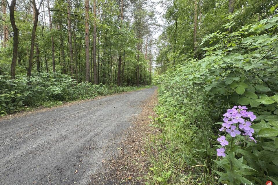 8 działek budowlanych w środku lasu, Bardzynin gmina Dalików