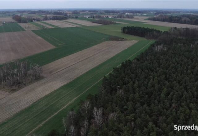 Działka rolna z możliwością budowy w uroczej miejscowości Stefanów,