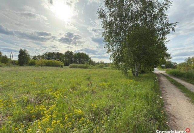 Ostatnie dwie działki budowlane Feliksów, gmina Poddębice