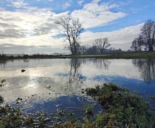 Siedlisko o powierzchni 1.6 ha Bałdrzychów, gmina Poddębice