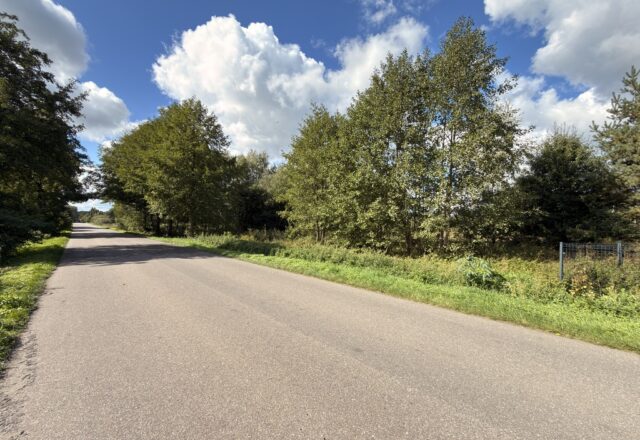 Dwie ostatnie działki – Tarnowa, 3 km od Poddębic