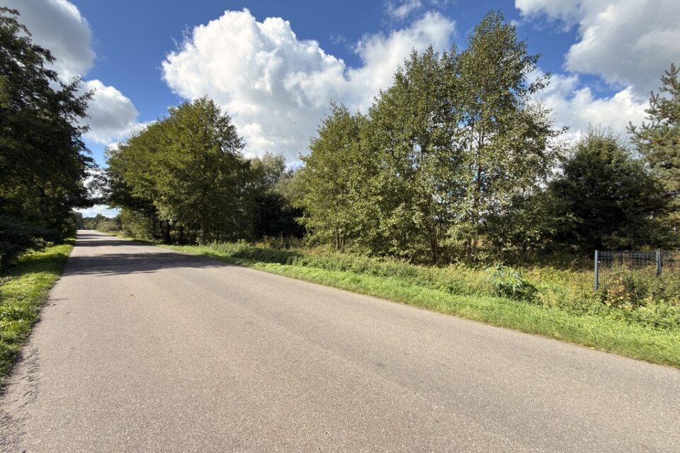 Dwie ostatnie działki – Tarnowa, 3 km od Poddębic