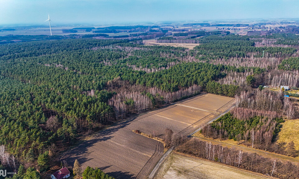 Działka, Gołaszyny