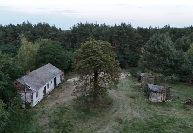 Wyjątkowe siedlisko 5,7 ha z własnym lasem Jadwichna, poddębicki