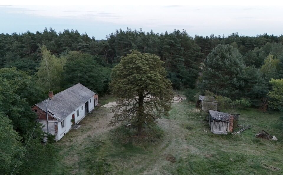 Wyjątkowe siedlisko 5,7 ha z własnym lasem Jadwichna, poddębicki